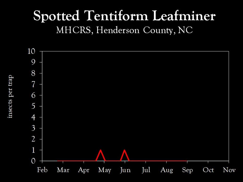 Chart showing insect population trends
