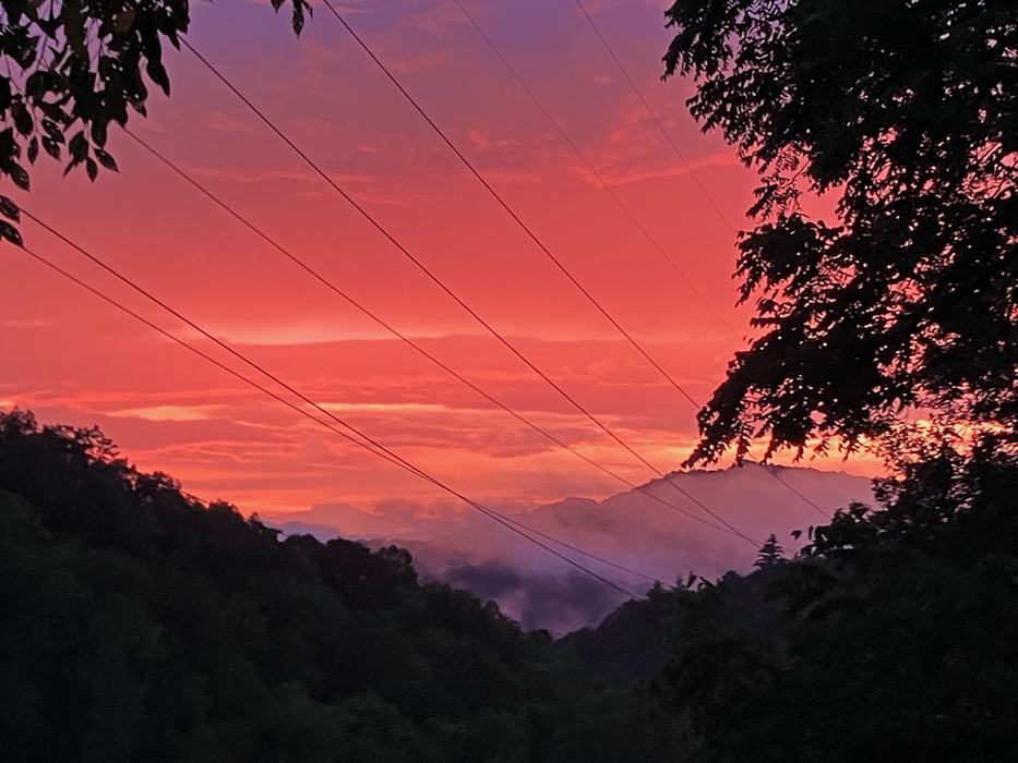 Swain County - Pink Palace