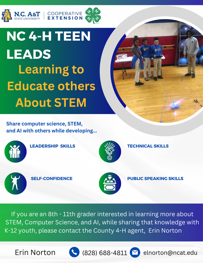 Teen LEADS Flyer with contact info