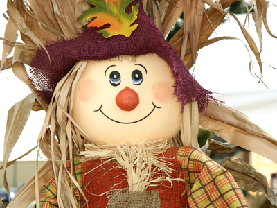 Image features a scarecrow with fall decorations