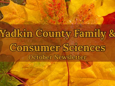 FCS Newsletter
