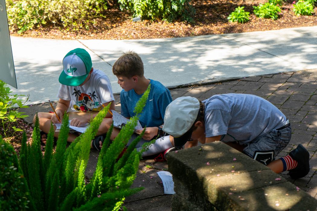 Youth participants draw and discuss the characteristics of their chosen plant.
