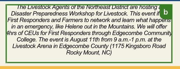 Screenshot of a block of text in a Canva design with a green border and a "B" icon, indicating that user is editing the text. 