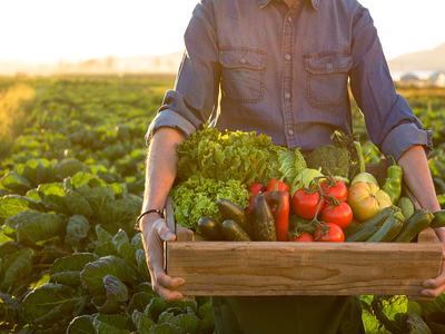 A man in a field of greens holds a box of produce.