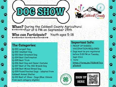 flyer with dog show information