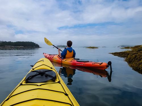 Kayakers on the water