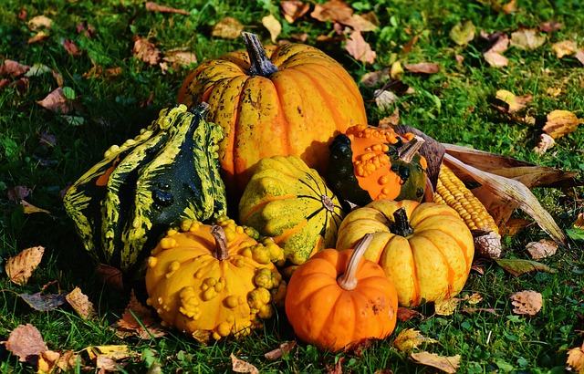 pumpkins