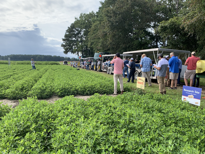 Participants attending Extension field day