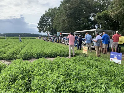 Participants attending Extension field day