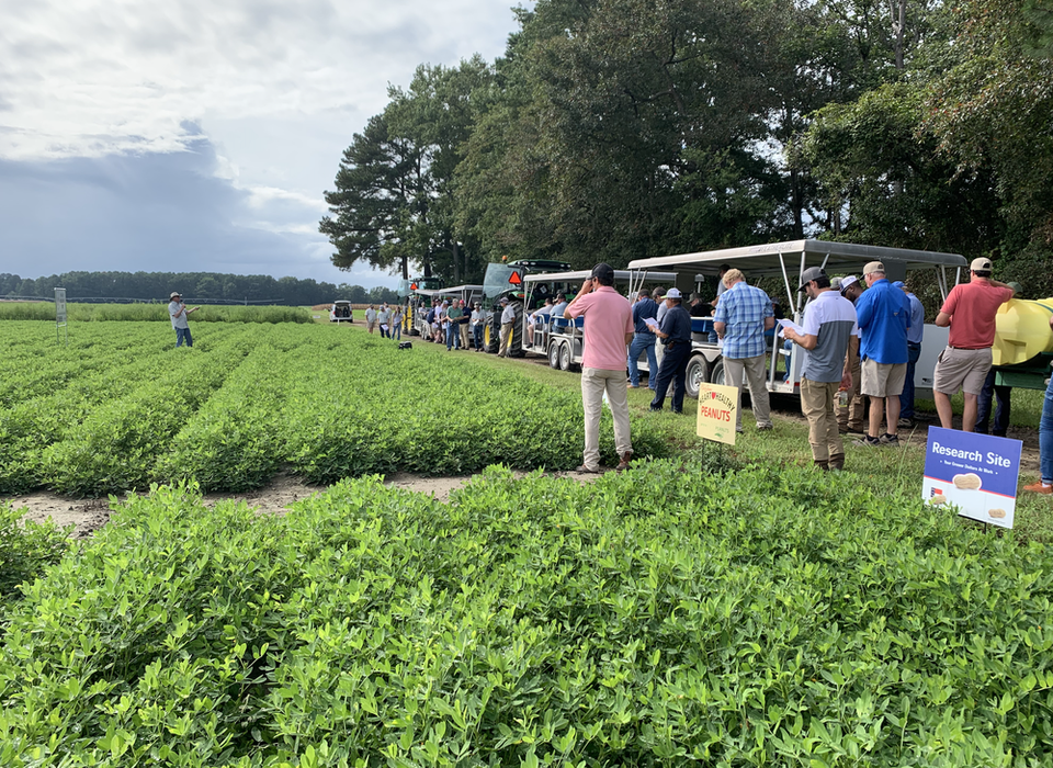 Participants attending Extension field day