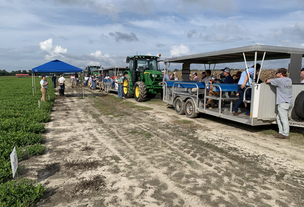Participants attending Extension field day