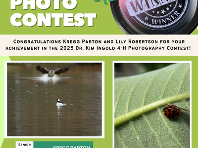2025 4-H Photography Contest Winners