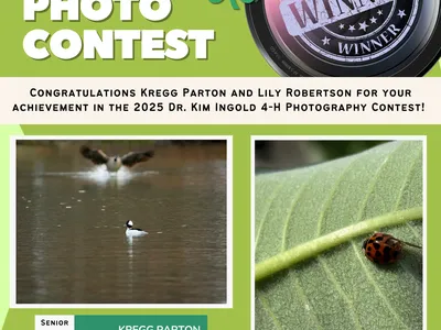 2025 4-H Photography Contest Winners