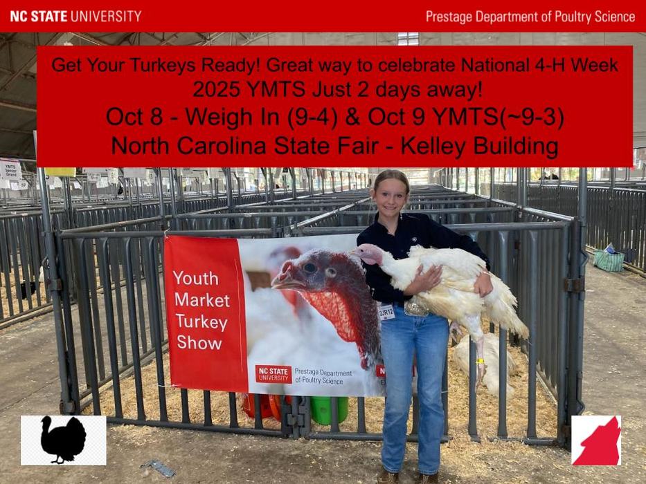 about YMTS turkey show