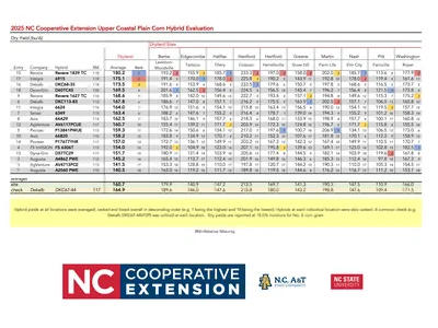 2025 Upper Coastal Plain Dryland Yield Results