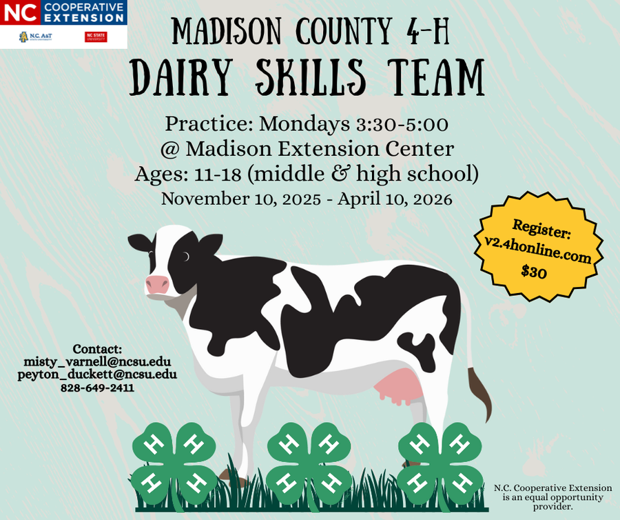 4-H Dairy Skills black and white cow standing in grass with 4-H clovers