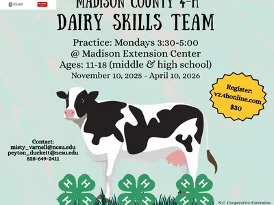 4-H Dairy Skills black and white cow standing in grass with 4-H clovers