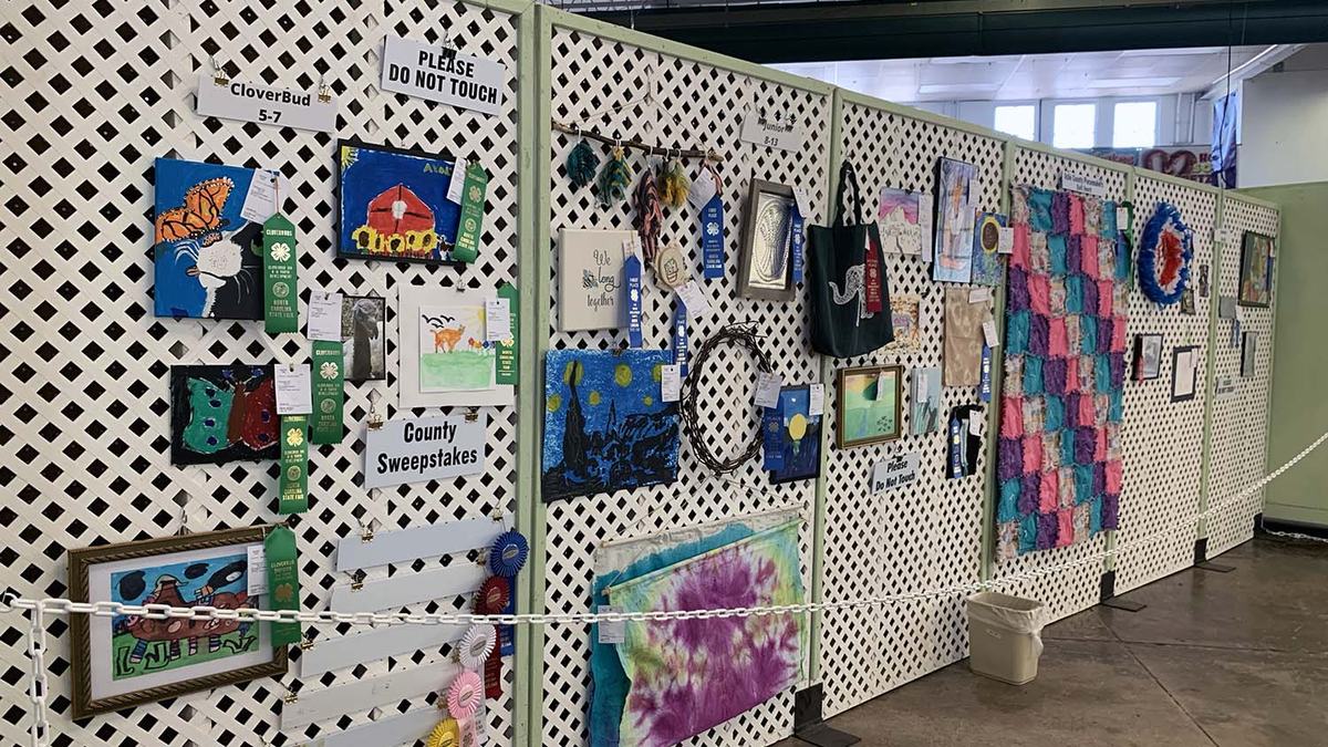 NC 4-H North Carolina State Fair NC State Extension youth development