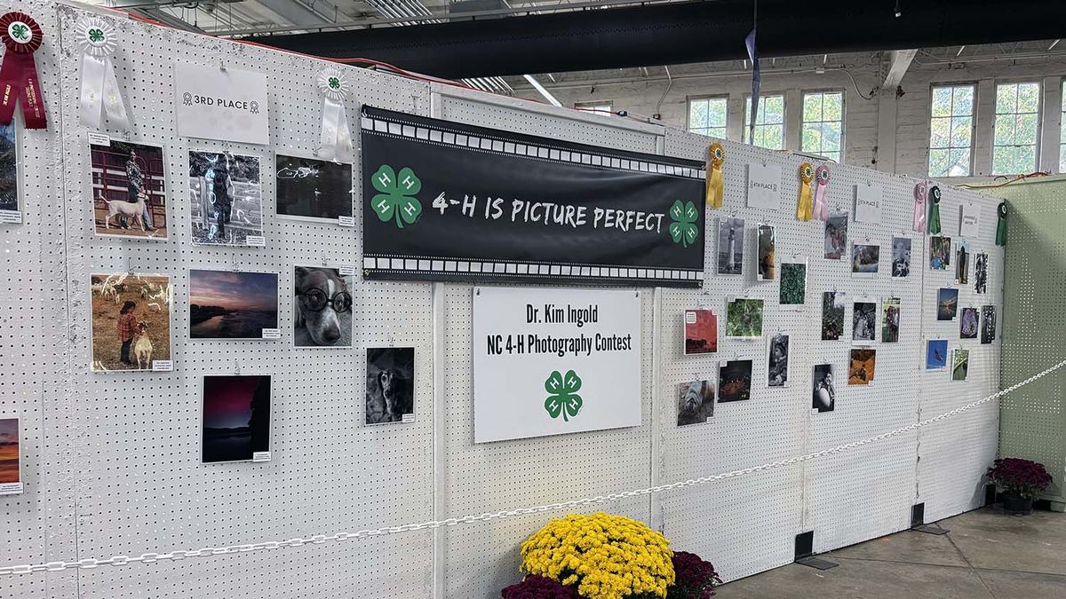 NC 4-H North Carolina State Fair NC State Extension youth development