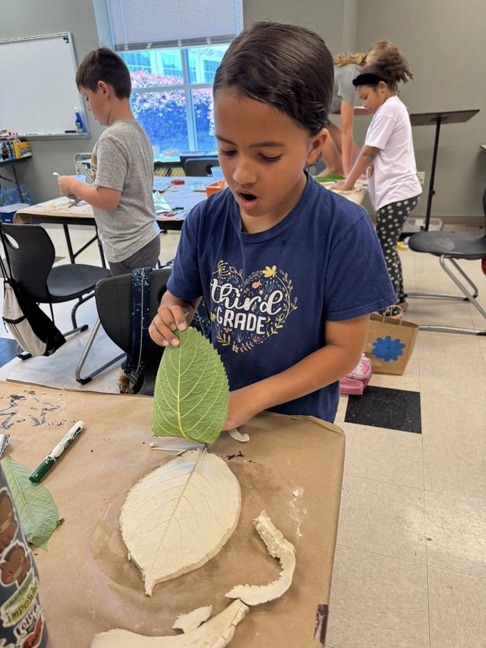 NC 4-H Forestry Contest