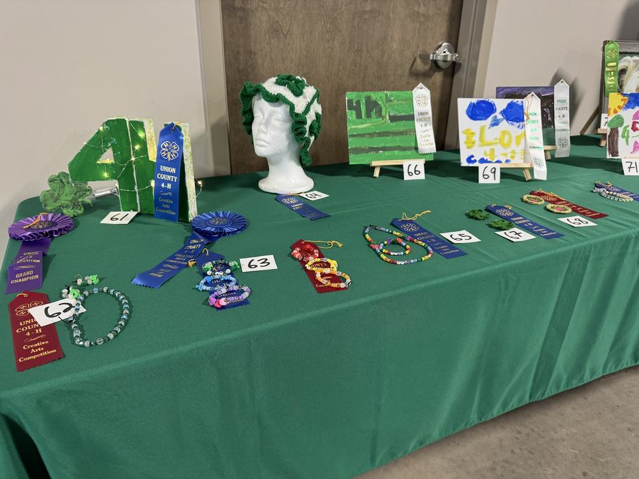 4-H Art Table