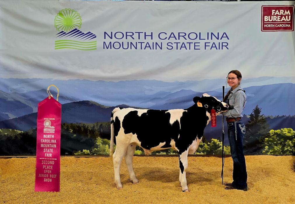Person holding black-and-white calf at North Carolina Mountain State Fair; pink ribbon: 2nd