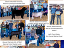 Photos of NC State Fair Livestock Winners from Stokes