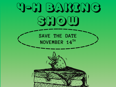 The Great 4-H Baking Show