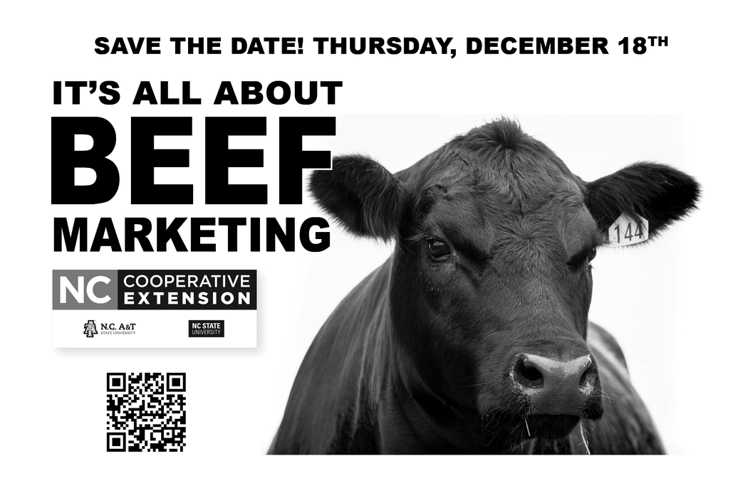 Save The Date! Thursday, DecemberR 18th It’s All About Beef Marketing Black Angus Cow Image