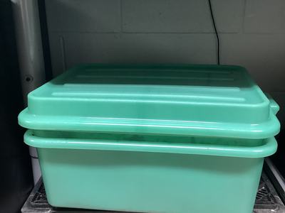 Bus pan set as worm bin