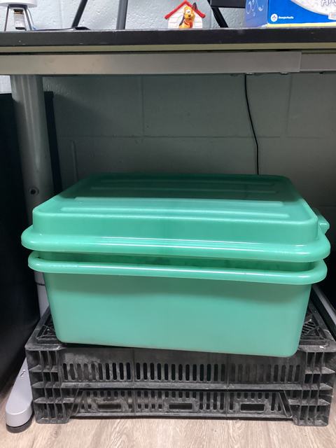 Bus pan set as worm bin