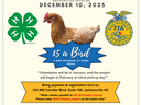 Flyer for the chicken project featuring an image of the chosen breed for the year.