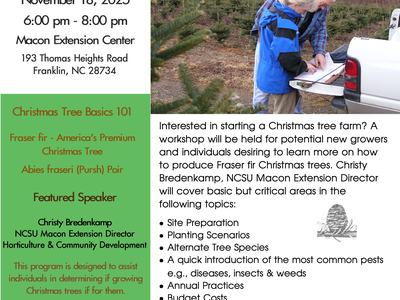 Growing Christmas Trees Flyer