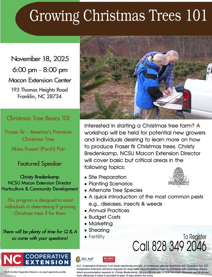 Growing Christmas Trees Flyer