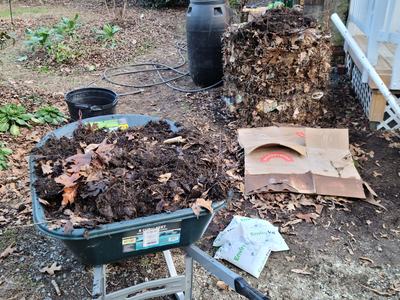 Compost Pile Photo by Amanda Bratcher-min