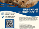Ruminant nutrition 101 class flyer