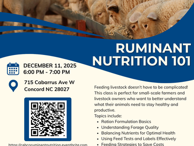 Ruminant nutrition 101 class flyer