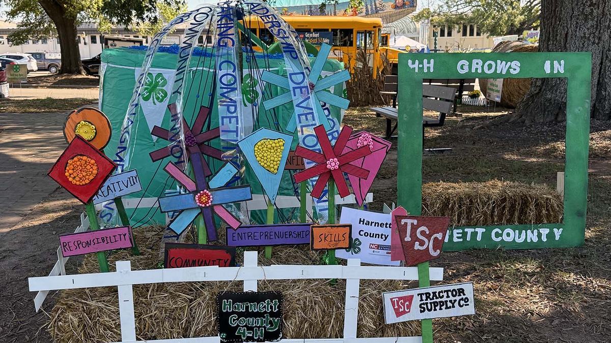 NC 4-H North Carolina State Fair NC State Extension youth development