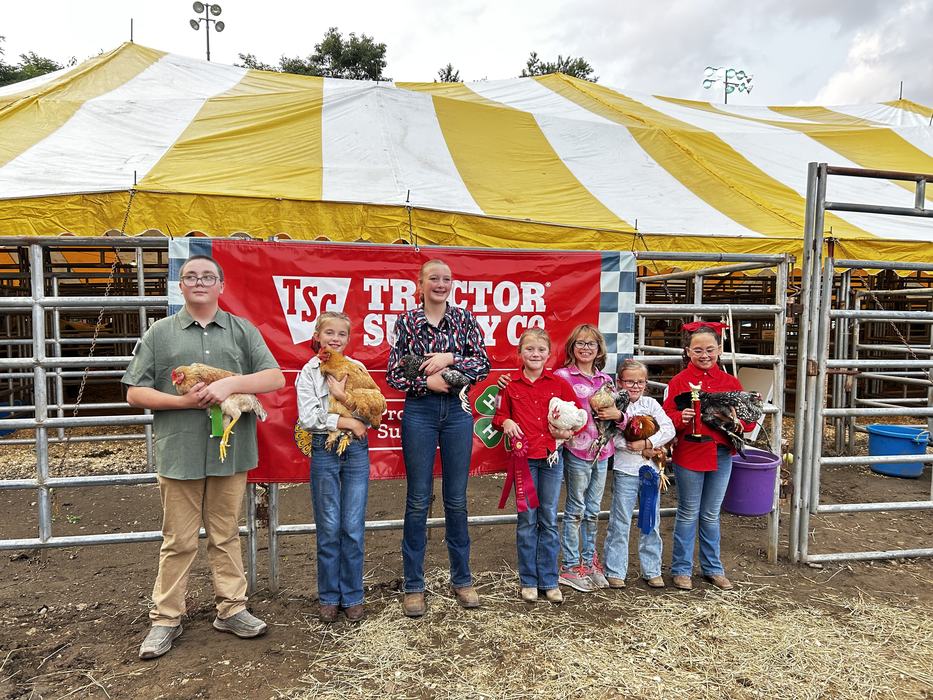 Mitchell County 4-Her's at the Avery County Chicken Show 2025