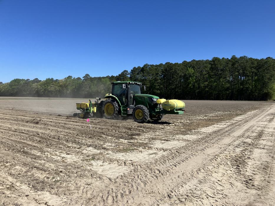 Planting corn PBRS 2025