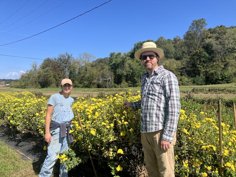 A young man and woman standing in a field of bright yellow flowers