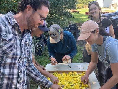 Small group of men and women surrounding a table with a tray of bright yellow juhua flowers