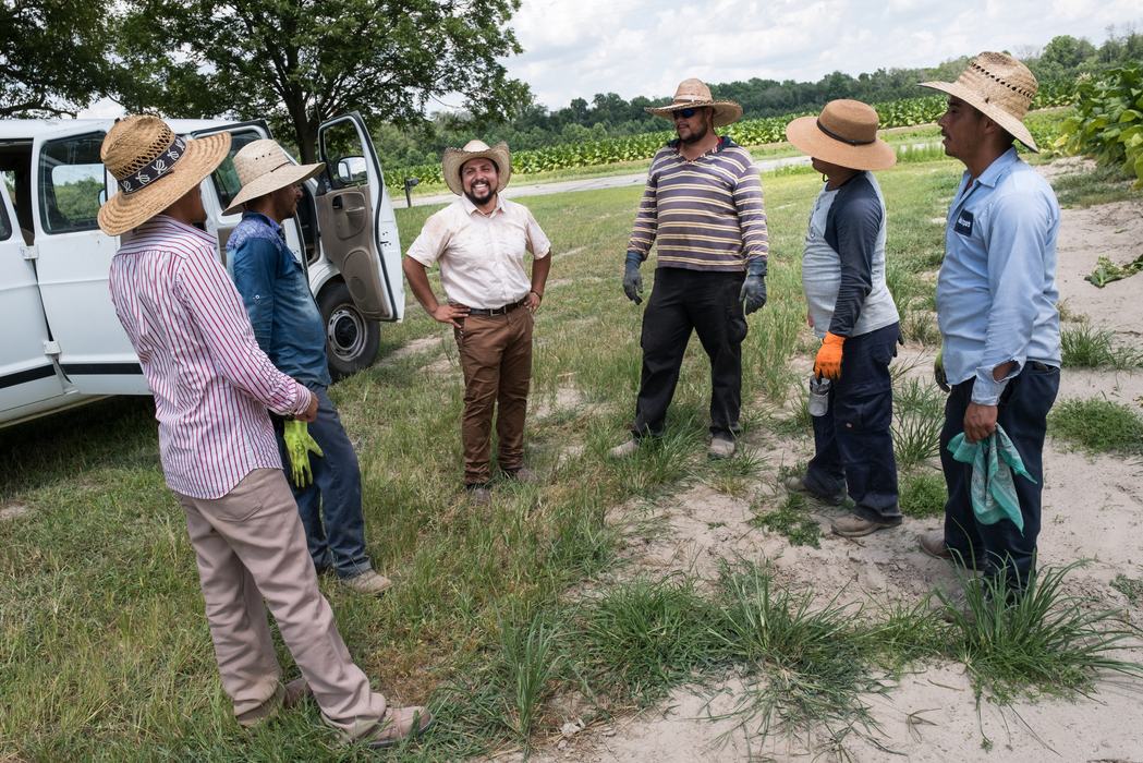Farmworkers in wilson county