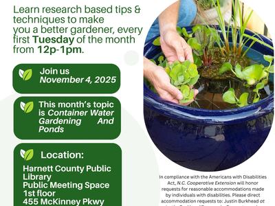 Lunch & Learn flyer: NC State Extension Master Gardener, Nov 4, 2025, Container water gardening