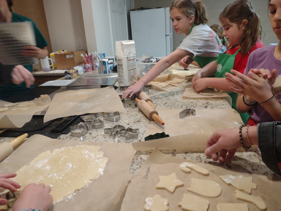 width="303" height="231"