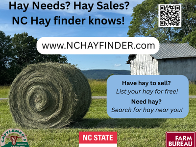Hay Needs? Hay Sales?