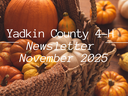 November Newsletter