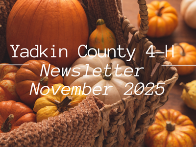 November Newsletter