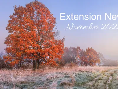 November 2025 Newsletter