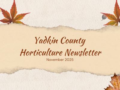 Yadkin County Horticulture Newsletter-November